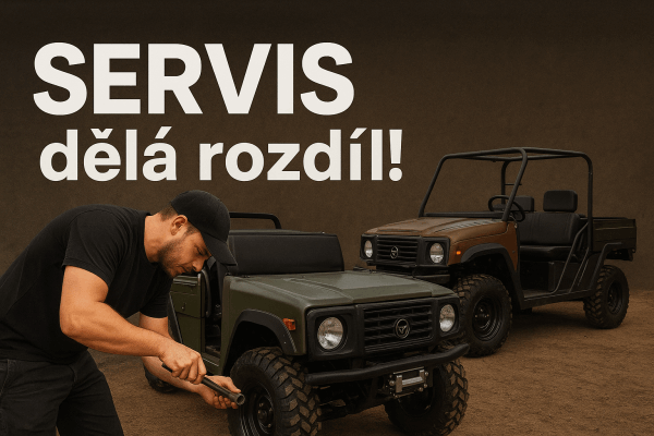 Servis